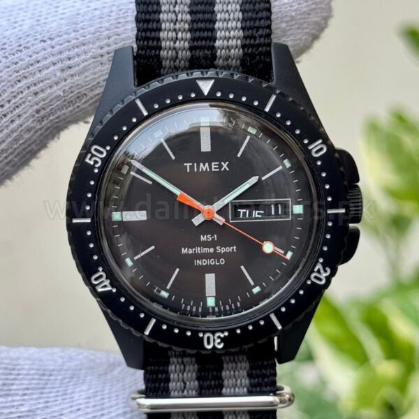 TIMEX Indgilo Tw2R83200 Quartz USA Mens