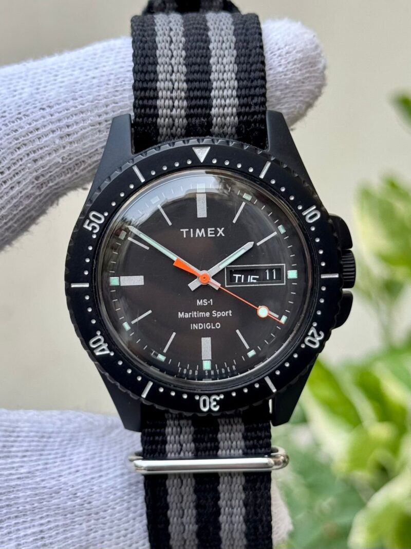 TIMEX Indgilo Tw2R83200 Quartz USA Mens