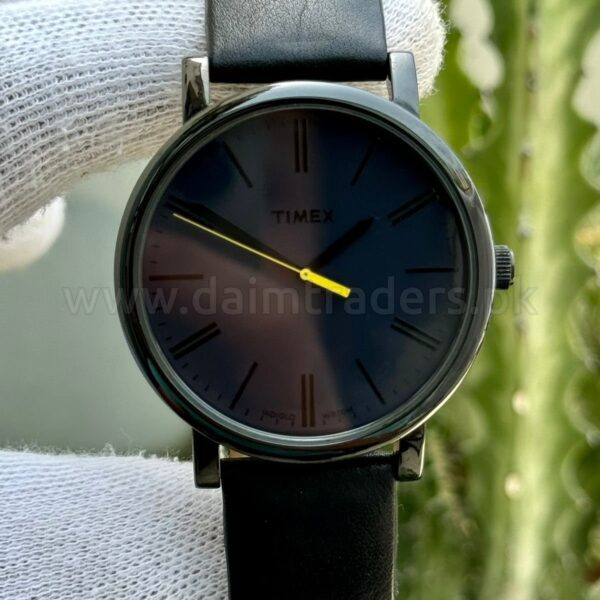 Timex Classic T2N793 USA Mens