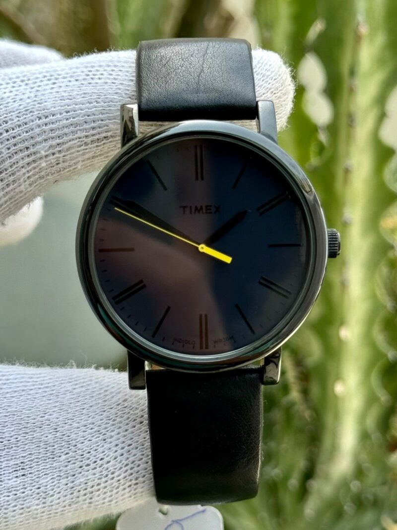 Timex Classic T2N793 USA Mens