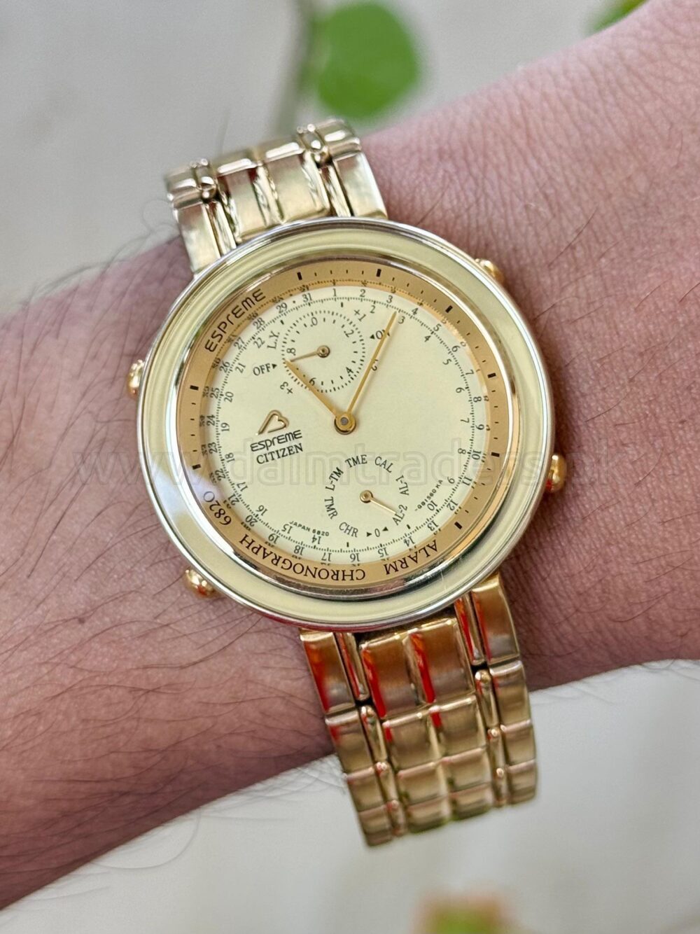 CITIZEN Esprime 6850-G80353 Quartz Japan – photo 2