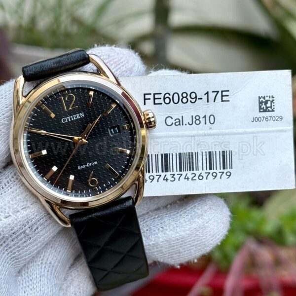 CITIZEN Eco-Drive FE6089 Japan Mens