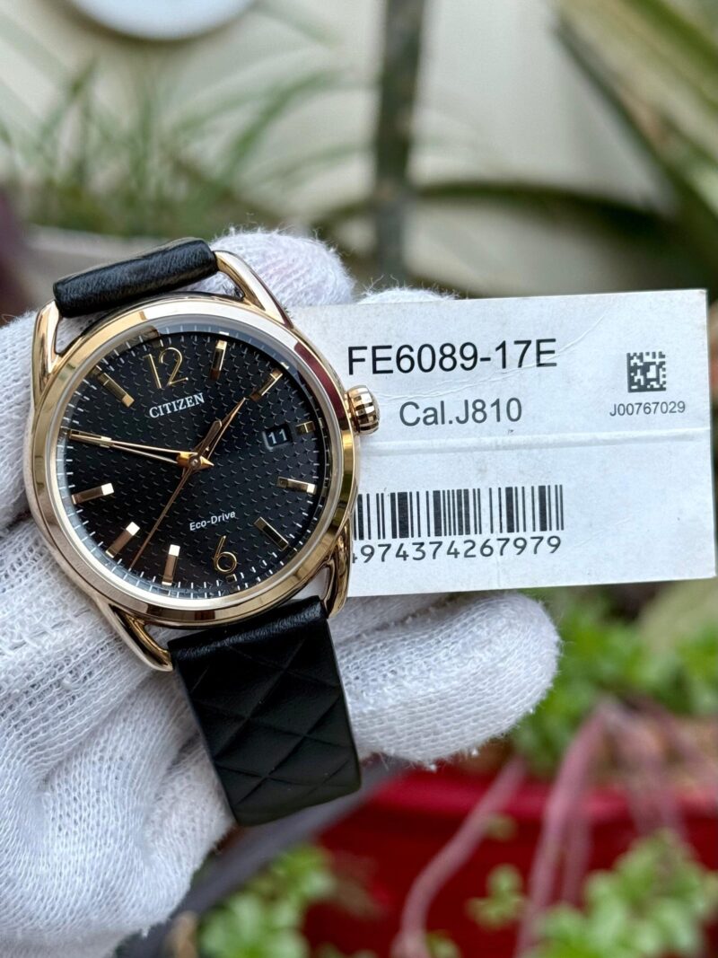 CITIZEN Eco-Drive FE6089 Japan Mens
