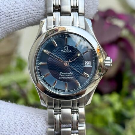 Omega Seamaster 120 2501.81 Swiss Mens Auto