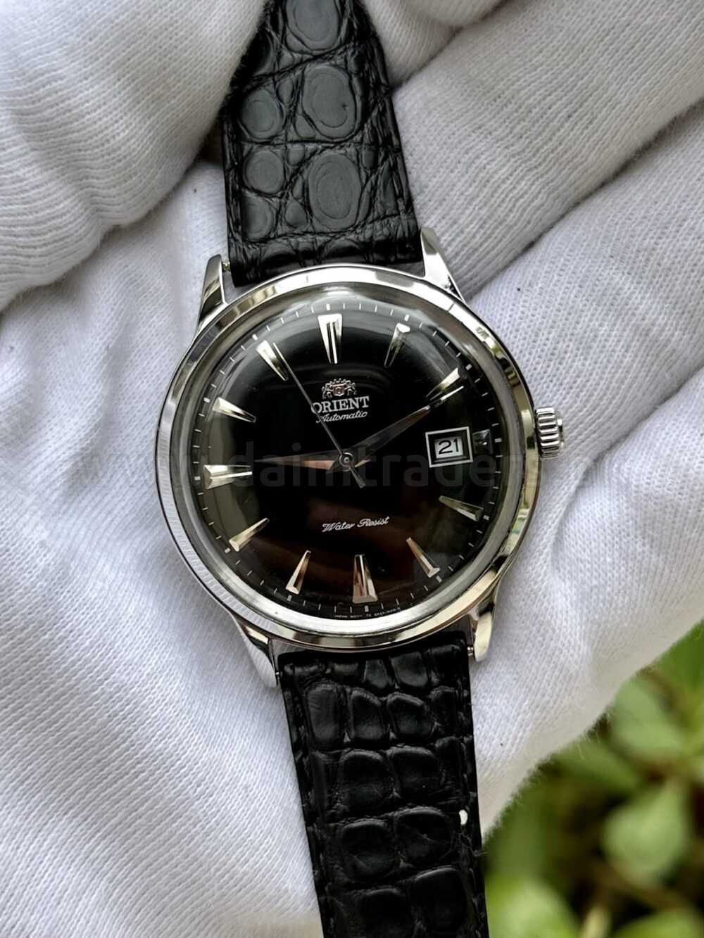 ORIENT Bambino Japan Fac00004bo